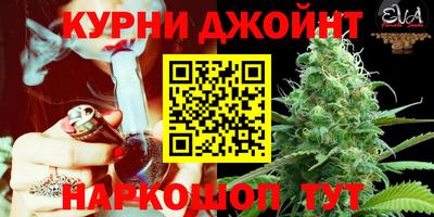 молекула духа Чебоксары