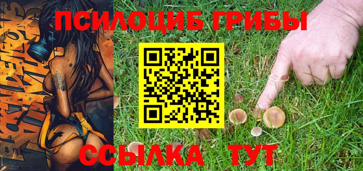 Гусь-Хрустальный  Галлюциногенные грибы Cubensis  Вход с VPN 