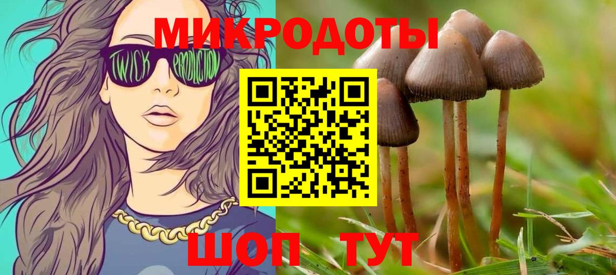 Галлюциногенные грибы GOLDEN TEACHER Гусь-Хрустальный