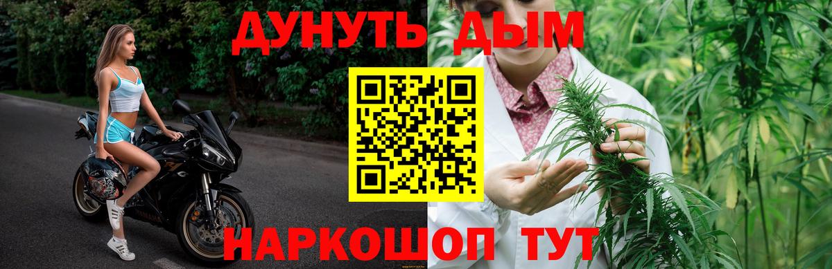 Конопля Amnesia  Вход с VPN  Шишки марихуана сатива  Бошки Шишки Amnesia  Гусь-Хрустальный 
